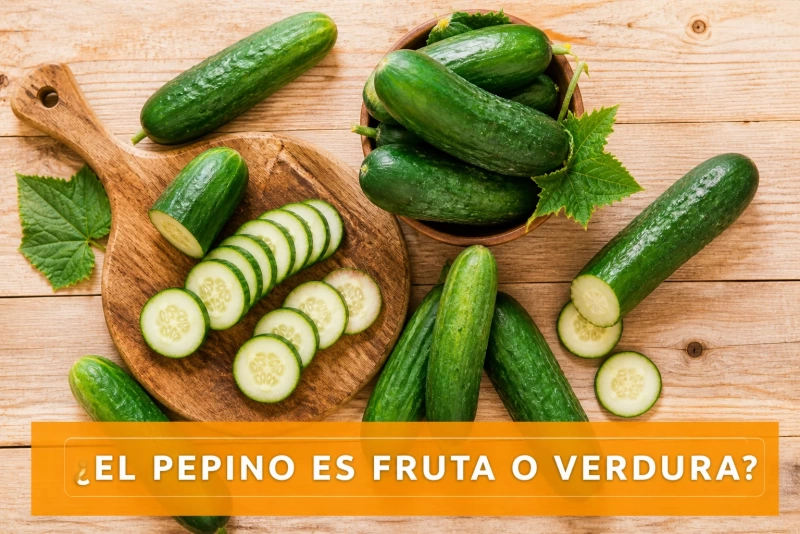 Pepino en primer plano sobre fondo blanco