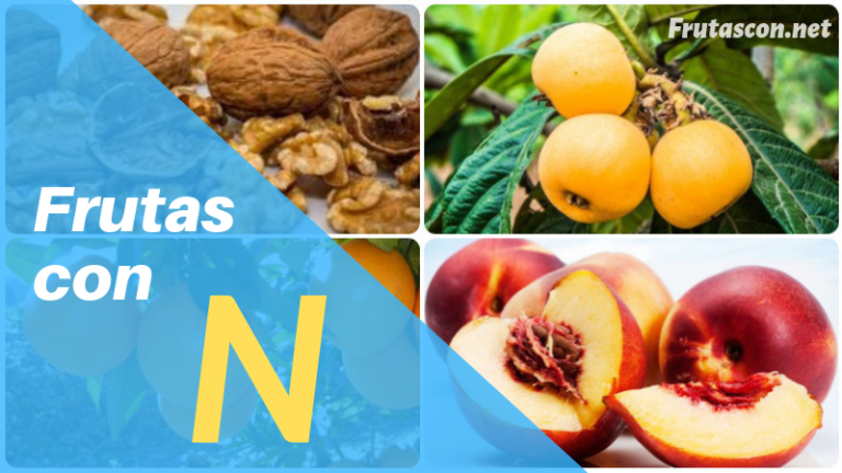 ¿Que Frutas Empiezan con N? » Todas Las Frutas con “N”【2023】