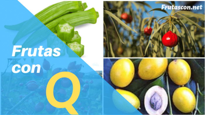 Frutas con la letra Q lista de frutas con la q