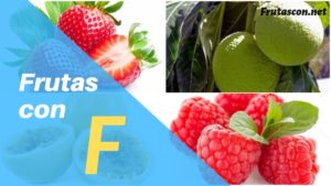 Frutas con la letra F lista de frutas con la f