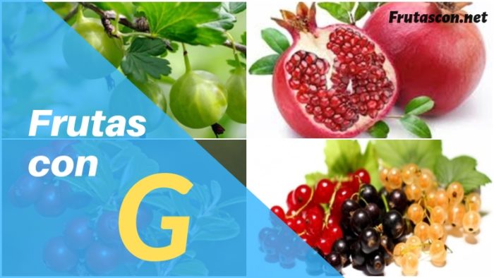 Frutas con la letra G lista de frutas con la g